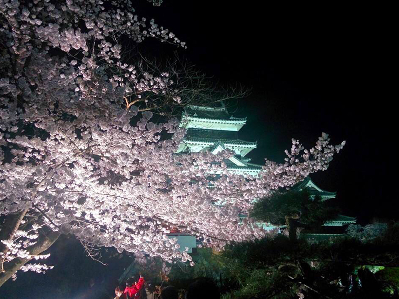 今だけ限定 松本城のライトアップ 泡の湯旅館 白骨温泉 公式ホームページ 長野県松本市 信州